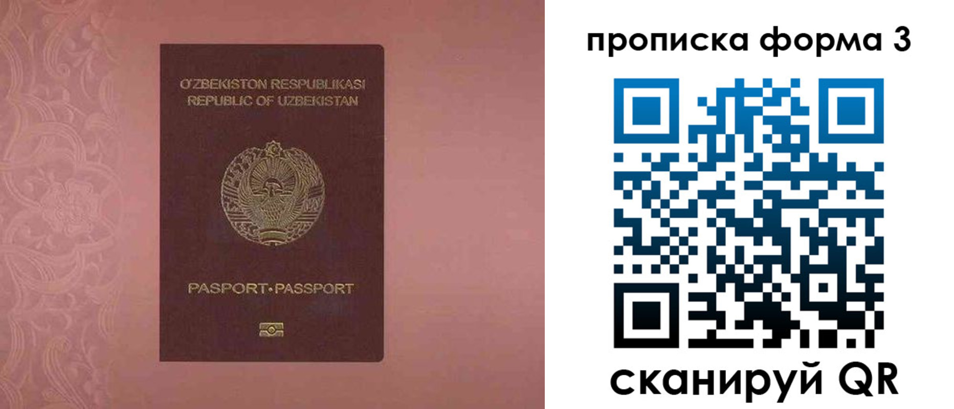 регистрация в Белгородской области